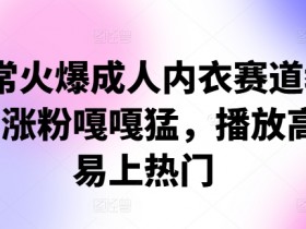 非常火爆成人内衣赛道教学，​涨粉嘎嘎猛，播放高，易上热门