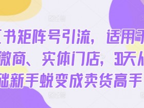 小红书矩阵号引流，适用于电商、微商、实体门店，30天从0基础新手蜕变成卖货高手