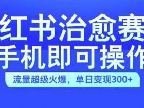 小红书治愈视频赛道，手机即可操作，流量超级火爆，单日变现300+【揭秘】