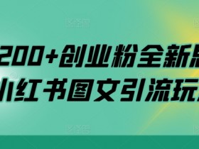 日引200+创业粉全新思路，小红书图文引流玩法【揭秘】