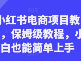 小红书电商项目教程，保姆级教程，小白也能简单上手