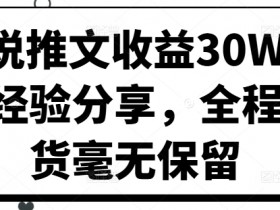 小说推文收益30W大佬经验分享，全程干货毫无保留