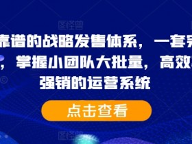 2024靠谱的战略发售体系，一套完整的助IP们，掌握小团队大批量，高效率，0 强销的运营系统