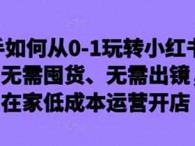 新手如何从0-1玩转小红书店铺，无需囤货、无需出镜，可在家低成本运营开店