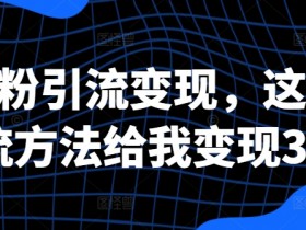 创业粉引流变现，这三种引流方法给我变现3W+【揭秘】