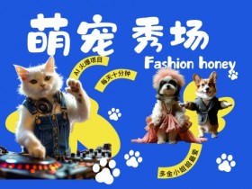酷飒动物跳舞走秀，时尚喵FASHION汪， 多金小姐姐最爱的，轻松月入破W【揭秘】