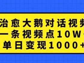 治愈大鹅对话视频，一条视频点赞 10W+，单日变现1k+【揭秘】