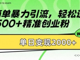 简单暴力引流，轻松达到日引500+精准创业粉，单日变现2k【揭秘】