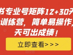小红书专业号矩阵12+30天引流陪跑训练营，简单易操作，15天可出成绩!
