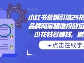 小红书营销引流24招必学课，品牌商家精准投放运营指南，少花钱多赚钱，避坑秘籍!