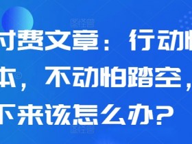 某付费文章：行动怕亏本，不动怕踏空，接下来该怎么办?
