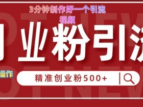 快手被动引流创业粉500+的玩法，3分钟制作好一个引流视频，轻松简单好操作【揭秘】