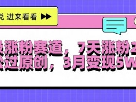 超级涨粉赛道，每天半小时，7天涨粉2W+，轻松过原创，三月变现5W+【揭秘】