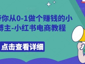 9节课带你从0-1做个赚钱的小红书博主-小红书电商教程