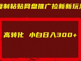 复制粘贴网盘推广拉新新玩法高转化小白日入300+【揭秘】