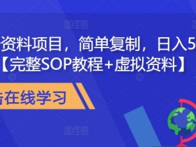 教务资料项目，简单复制，日入500元【完整SOP教程+虚拟资料】