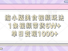 缩小版美食视频玩法，1条视频带货6W+，单日变现1k