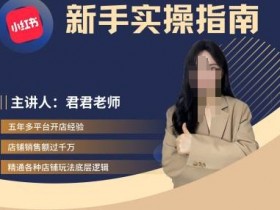 君君-小红书电商从入门到精通，新手实操指南