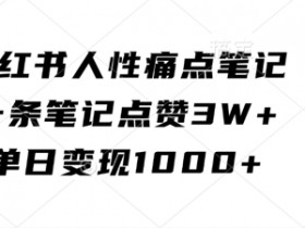 小红书人性痛点笔记，一条笔记点赞3W+，单日变现1k