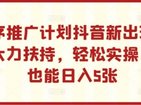 小程序推广计划抖音新出玩法，官方大力扶持，轻松实操，小白也能日入5张【揭秘】