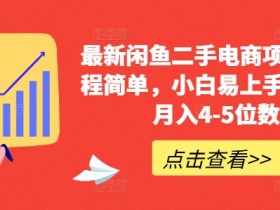 最新闲鱼二手电商项目，流程简单，小白易上手，副业月入4-5位数!