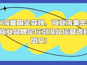 2024流量吸金变现，商业流量密码营销商业品牌定位引流品运营逻辑(图文)