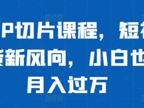 明星IP切片课程，短视频带货新风向，小白也能月入过万