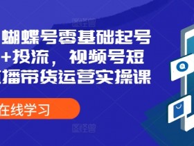 2024蝴蝶号零基础起号全流程+投流，视频号短视频直播带货运营实操课