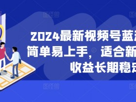 2024最新视频号蓝海项目，简单易上手，适合新手小白，收益长期稳定