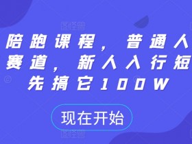 短剧陪跑课程，普通人逆袭的新赛道，新人入行短剧，先搞它100W