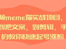 短视频meme猫实战项目，从选素材到把文案，到剪辑，手把手的教你快速起号涨粉