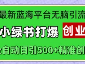 最新蓝海平台无脑引流，小绿书打爆创业圈，全自动日引500+精准创业粉