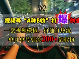 视频号“A种B收”打爆创业粉，一套视频模板打通自热流，单日单号引流200+创业粉
