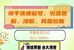 快手快速起号，引流s粉、涨粉、网盘拉新多重变现方式，月入1w【揭秘】