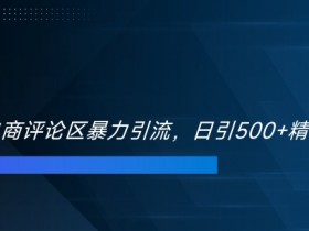 双十一电商评论区暴力引流，日引500+精准创业粉【揭秘】