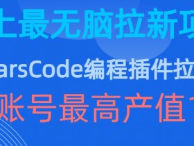 豆包MarsCode编程插件拉新玩法，史上最无脑的拉新项目，单账号最高产值1w