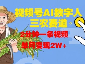 视频号AI数字人玩转三农赛道，2分钟一条视频，单月变现2W+