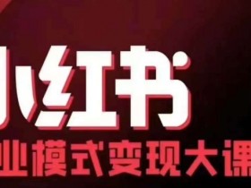 小红书商业模式变现线下大课，11位博主操盘手联合同台分享，录音+字幕