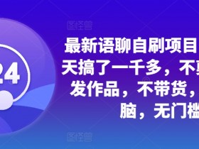 最新语聊自刷项目，亲测3天搞了一千多，不剪辑，不发作品，不带货，简单无脑，无门槛