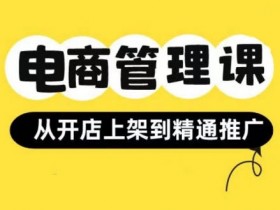 小红书&闲鱼开店从开店上架到精通推广，电商管理课