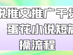 小说推文推广干货分享，蛋花小说短篇实操流程