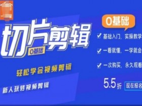 0基础IP切片剪辑，轻松学会视频剪辑，新人玩转视频剪辑