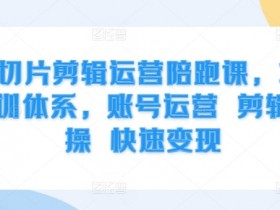 IP切片剪辑运营陪跑课，3大培训体系，账号运营 剪辑实操 快速变现