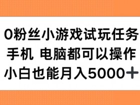 0粉丝小游戏试玩任务，手机电脑都可以操作，小白也能月入5000+【揭秘】