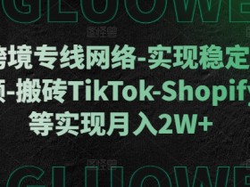 利用跨境专线网络-实现稳定直播-刷视频-搬砖TikTok-Shopify-FB等实现月入2W+【揭秘】