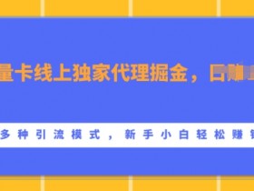 流量卡线上独家代理掘金，日入1k+ ，多种引流模式，新手小白轻松上手【揭秘】