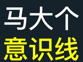 马大个意识线，一门改变人生意识的课程，讲解什么是能力线什么是意识线