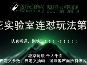 梅花实验室社群专享课视频号连怼玩法第十期课程+第二部分-FF助手全新高自由万能爆闪AB处理