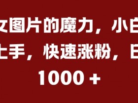 美女图片的魔力，小白轻松上手，快速涨粉，日入几张【揭秘】