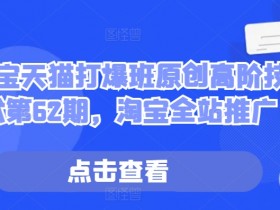 淘宝天猫打爆班原创高阶技术第62期，淘宝全站推广